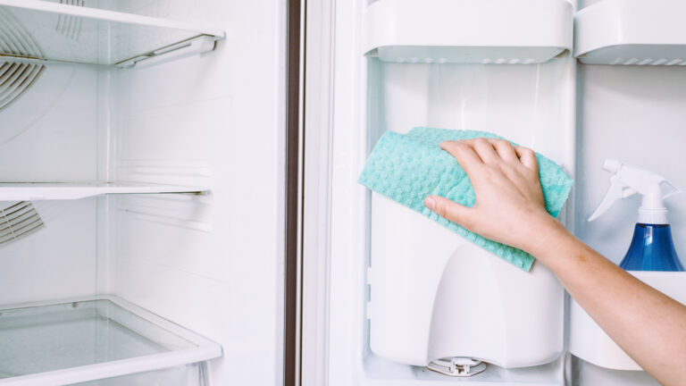Cleaning your fridge. How to clean your fridge?