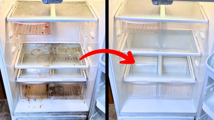 Fridge Before Cleaning