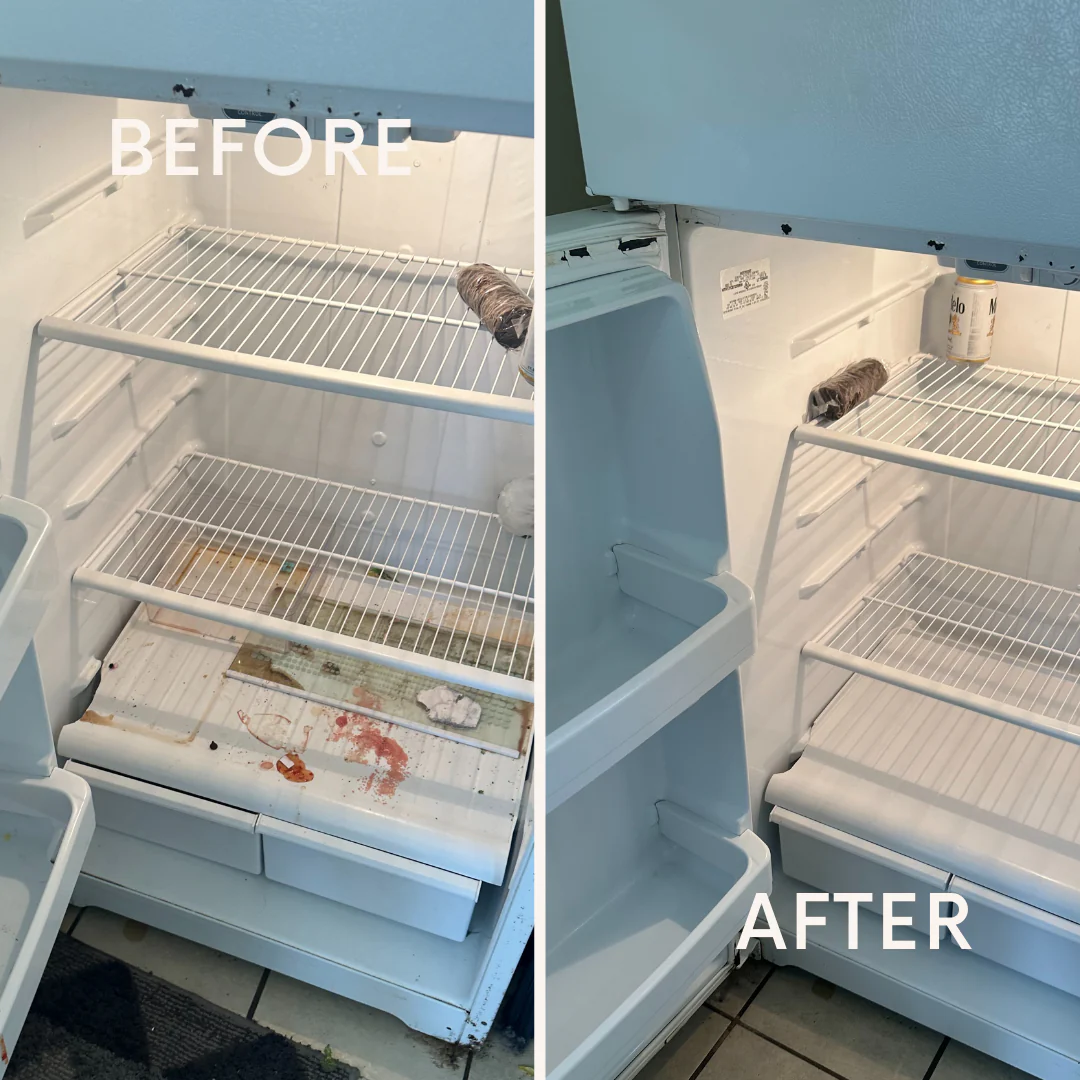 Fridge After Cleaning