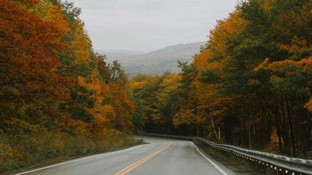 Long Island Fall Day Trip: A Complete Guide